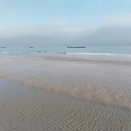 Mansarda Openspace Casa Delle Rondini 住宿加早餐酒店 4*