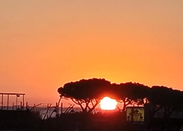 Mansarda Openspace Casa Delle Rondini Bed & Breakfast